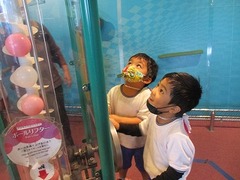 IMG_3382