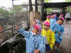 IMG_3576