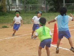 IMG_2531