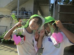 IMG_2265