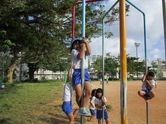IMG_7782