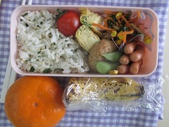 IMG_4048