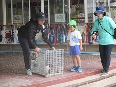 IMG_3953