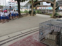 IMG_3955