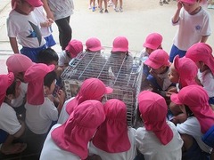 IMG_3958