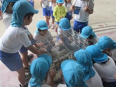 IMG_3962