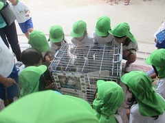 IMG_3967