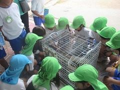 IMG_3968