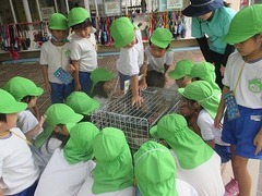 IMG_3973