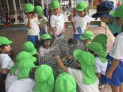 IMG_3974