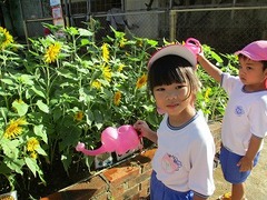IMG_1428