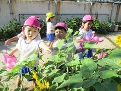 IMG_1162