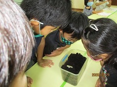 IMG_7190