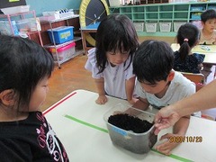 IMG_7191