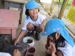 IMG_7074