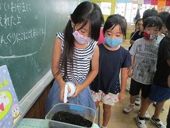 IMG_6811