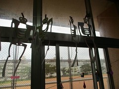 IMG_6859
