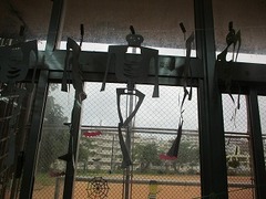 IMG_6860