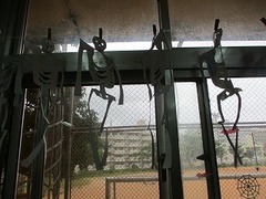 IMG_6861