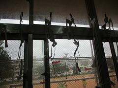 IMG_6862