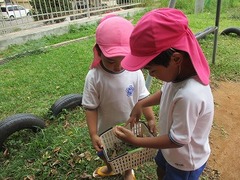 IMG_0866