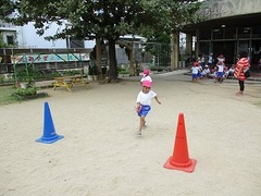 IMG_0898