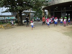 IMG_0903