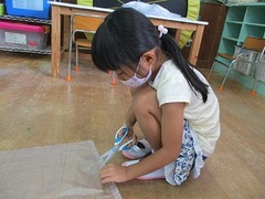 IMG_6657