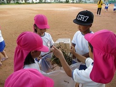 IMG_0775