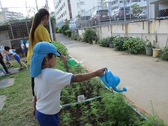 IMG_6511