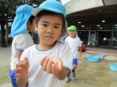 IMG_6520
