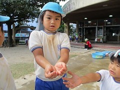 IMG_6521