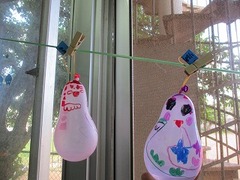 IMG_6558