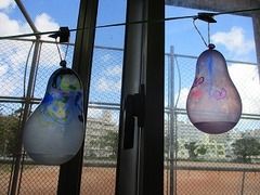 IMG_6575