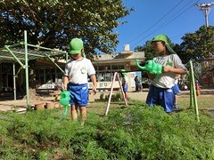 CIMG0063