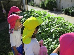 IMG_0720