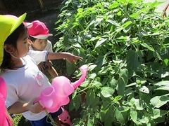 IMG_0722