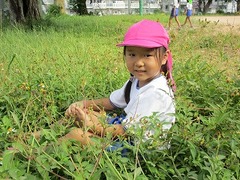 IMG_0734