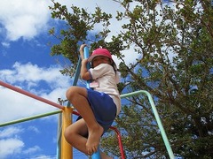 IMG_0739
