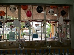 IMG_6448