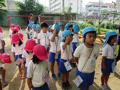 IMG_0587