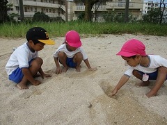 IMG_0619