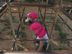 IMG_0629