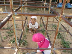 IMG_0630