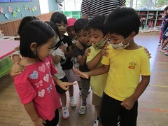 IMG_0696