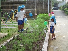 IMG_1256