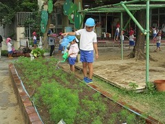 IMG_1261