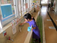 IMG_1291