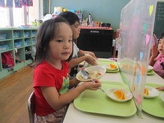 IMG_1381