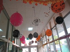 IMG_3734